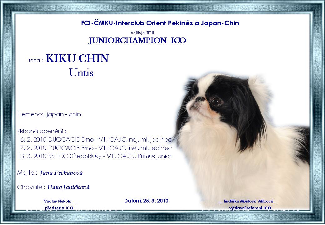KIKU CHIN Untis - Junior šampion ICO